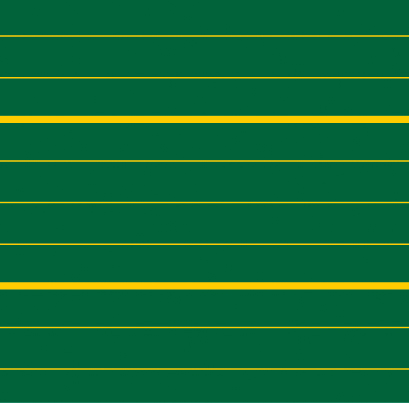 LIN 10 (gelb auf grün)