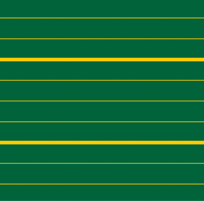 LIN 10 (gelb auf grün)