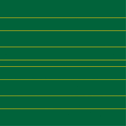 LIN 1 (gelb auf grün)