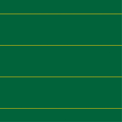 LIN 4 (gelb auf grün)