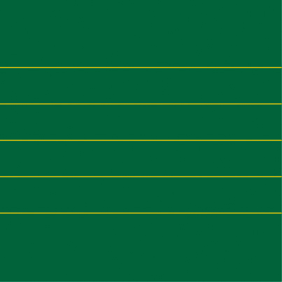 LIN 12 (gelb auf grün)