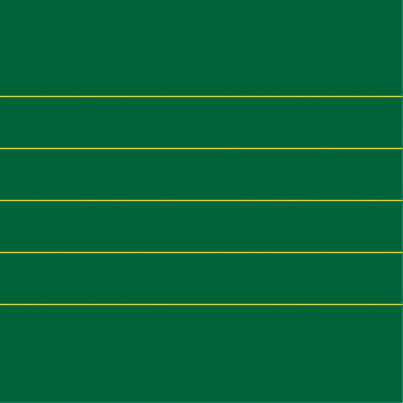 LIN 12 (gelb auf grün)
